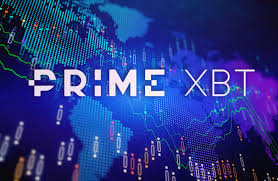 Exploring the World of Spot Trading PrimeXBT