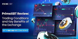 Unlocking Financial Freedom Trade PrimeXBT for a Profitable Future